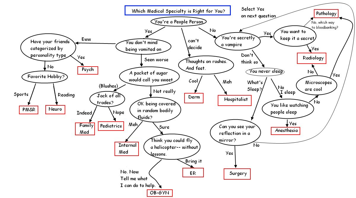 Medical Student Flow Chart