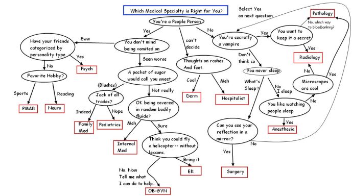 How to decide your medical specialty